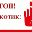 16 декабря состоялось плановое заседание антинаркотической комиссии Мценского района под председательством главы Мценского района Ивана Александровича Грачева. - Администрация района
