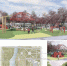 Скоро начнется реализация проекта «Набережная Лескова» в Мценске - Газета Мценский край