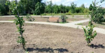 В селе Спасское-Лутовиново Мценского района завершилось благоустройство парка семейного отдыха